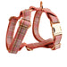 Spoiled Brat™ Plaid Collar, Bow Tie & Leash Bundle – Engraved - view 31 | Spoiled Brat