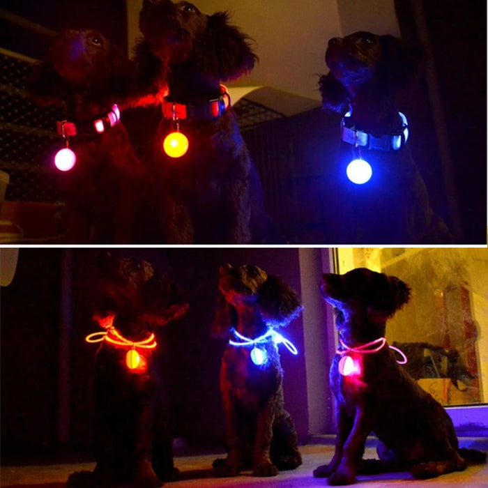 Spoiled Brat™ LunaGlow Luxury LED Safety Collar