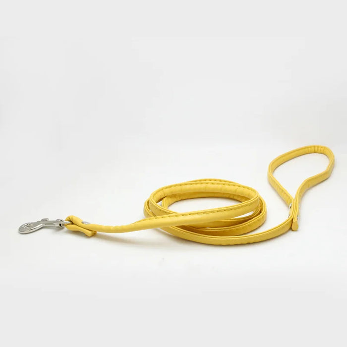 Spoiled Brat™ Adventure Pup Leash
