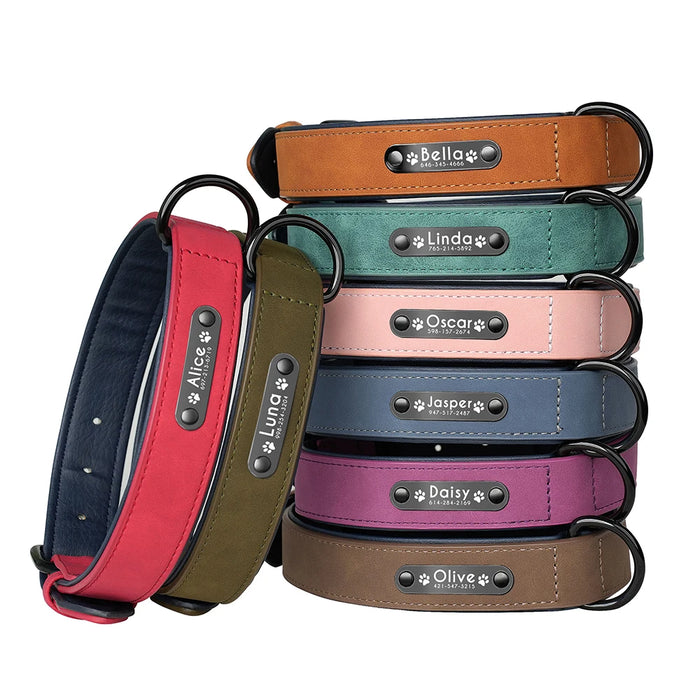 Spoiled Brat™ Personalized Dog Collar – Soft Padded Engraved ID Collar