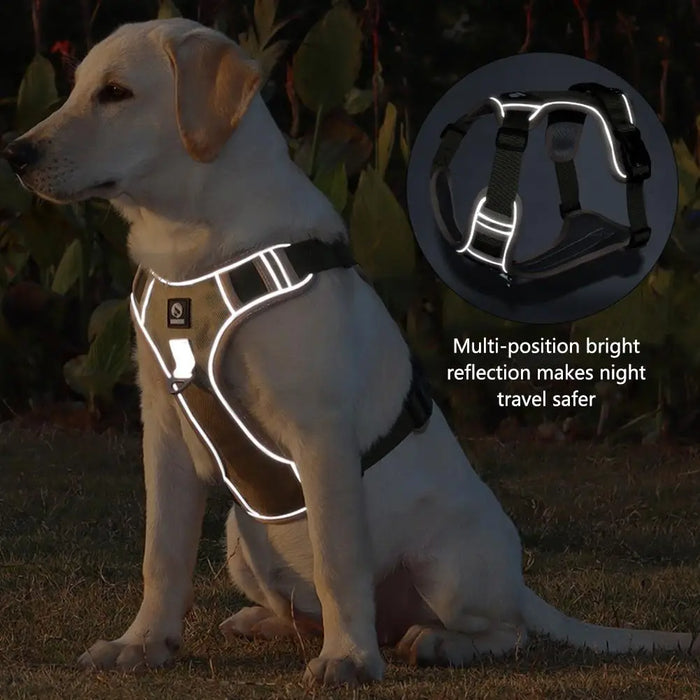 Spoiled Brat™ Adventure Control Dog Harness