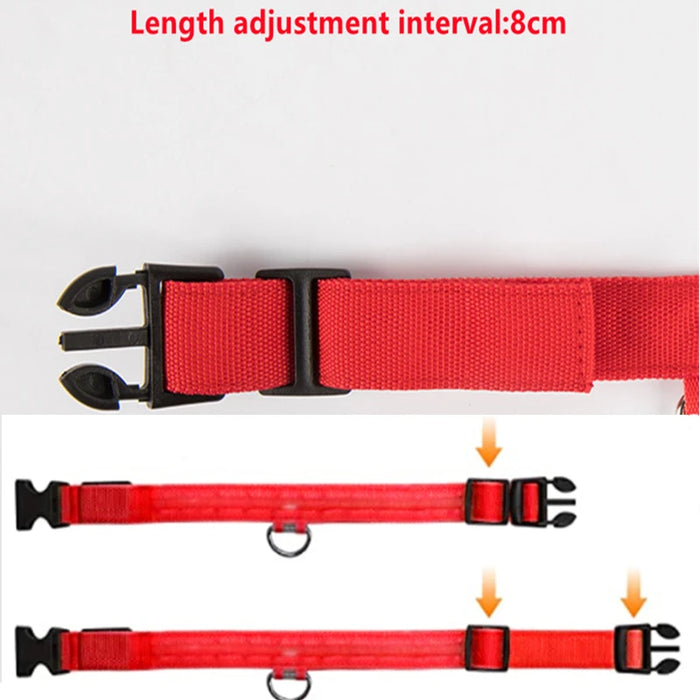 Spoiled Brat™ LunaGlow Luxury LED Safety Collar