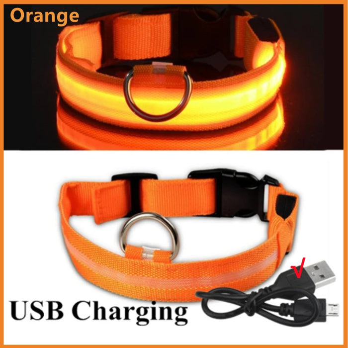 Spoiled Brat™ GlowGuard USB Rechargeable LED Collar