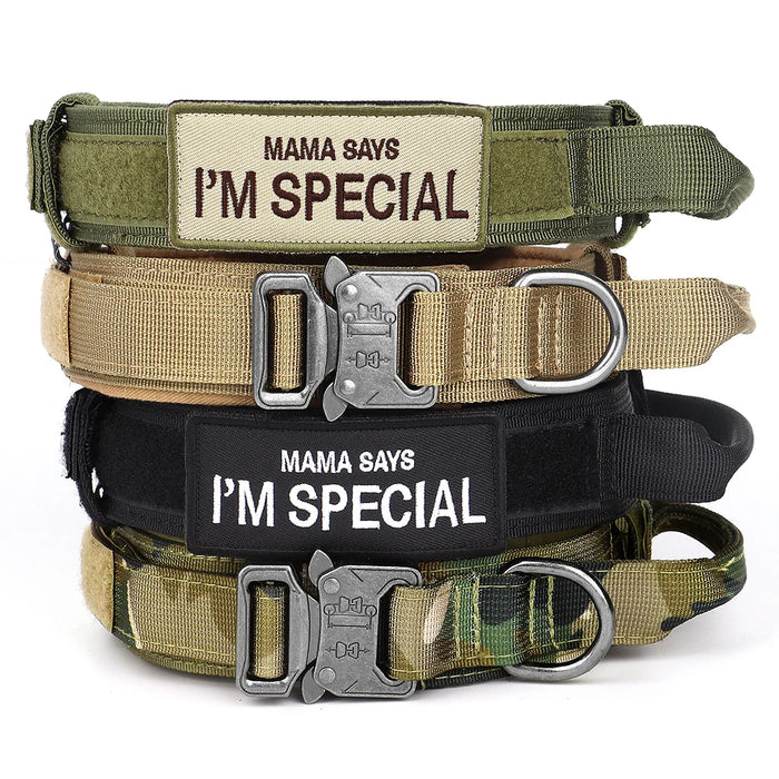 Spoiled Brat™ Tactical Dog Harness Patches – Funny Velcro Tags