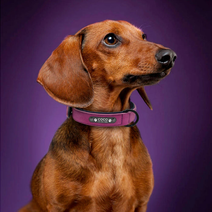 Spoiled Brat™ Personalized Leather Dog Collar – Custom Engraved - view 21 | Spoiled Brat