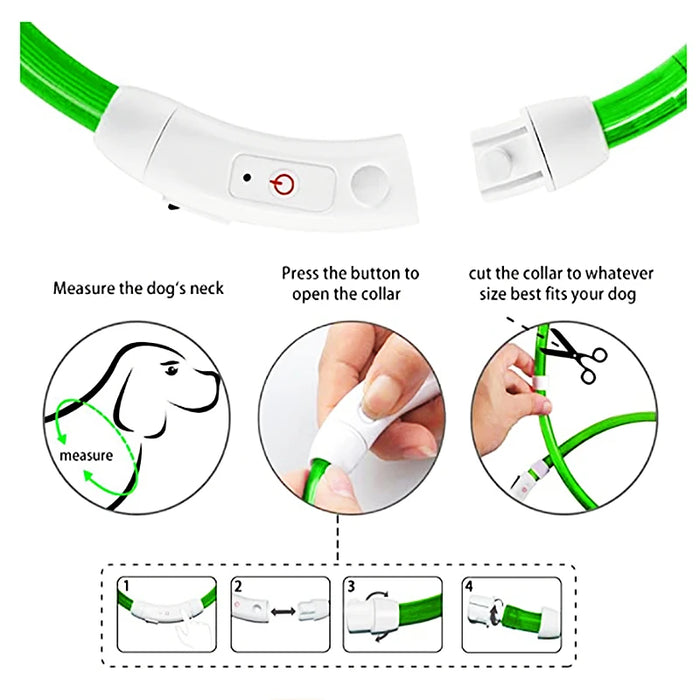 Spoiled Brat™ GlowGuard USB Rechargeable LED Collar
