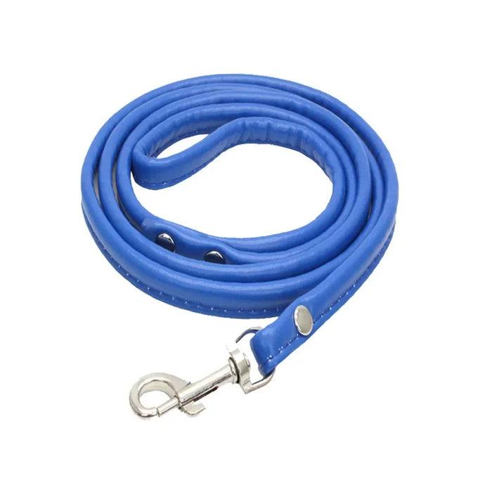 Spoiled Brat™ Adventure Pup Leash