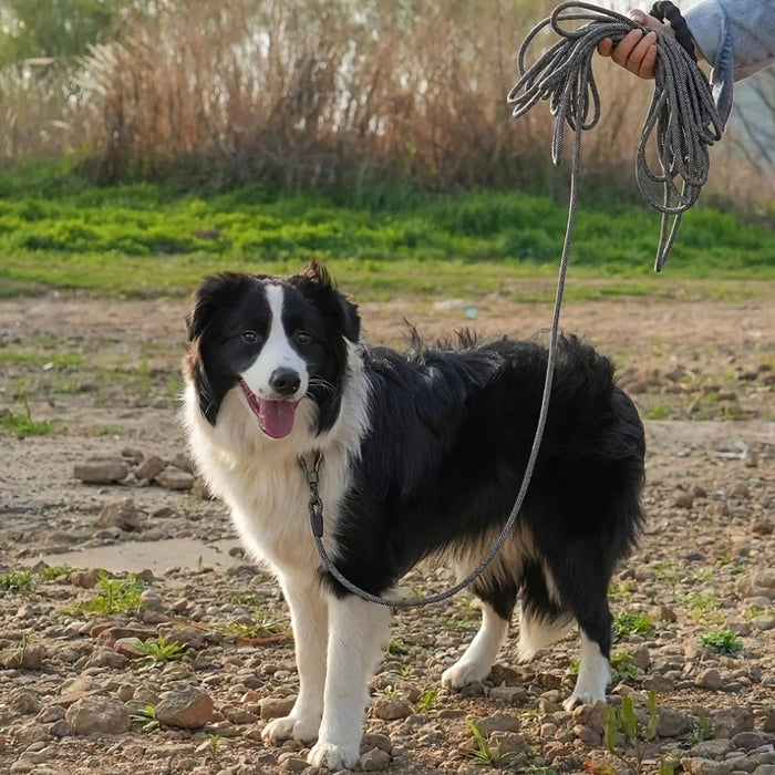 Spoiled Brat™ TrailRunner Rope Dog Leash