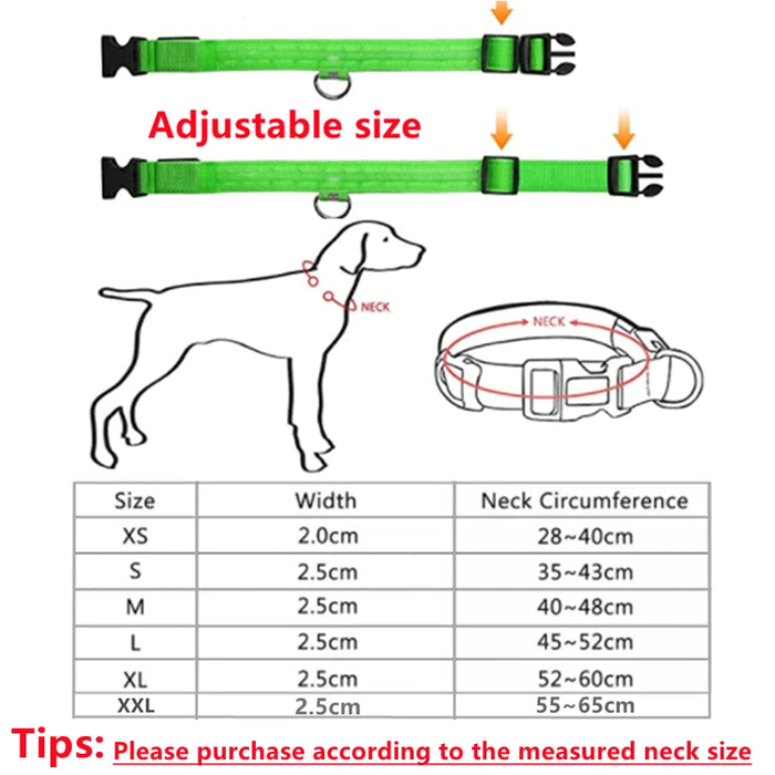 Spoiled Brat™ GlowGuard USB Rechargeable LED Collar