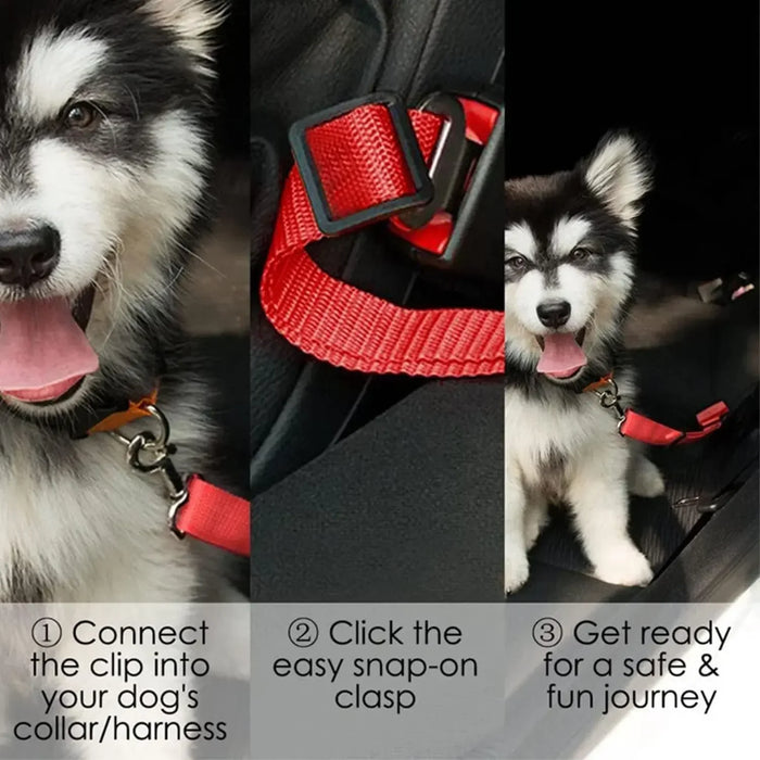 Spoiled Brat™ SafeRide Dog Seat Belt