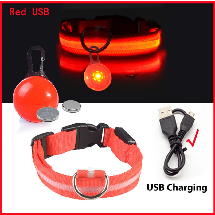 Spoiled Brat™ LunaGlow Luxury LED Safety Collar