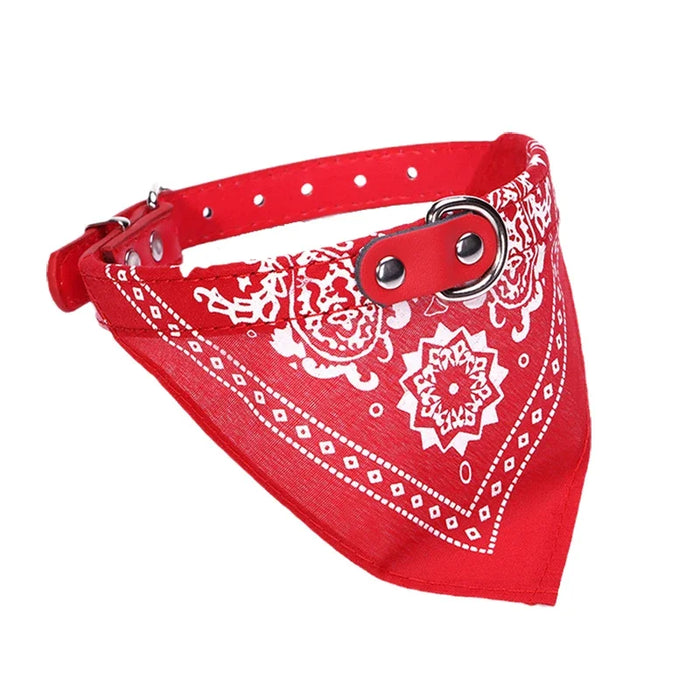 Spoiled Brat™ BellaBand Designer Scarf Collar