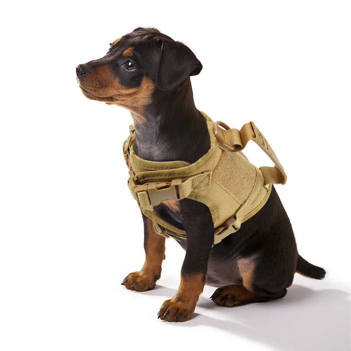 Spoiled Brat™ Tactical Pup Harness Set