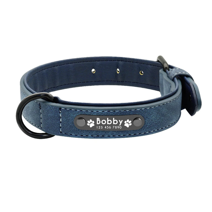 Spoiled Brat™ Personalized Dog Collar – Soft Padded Engraved ID Collar