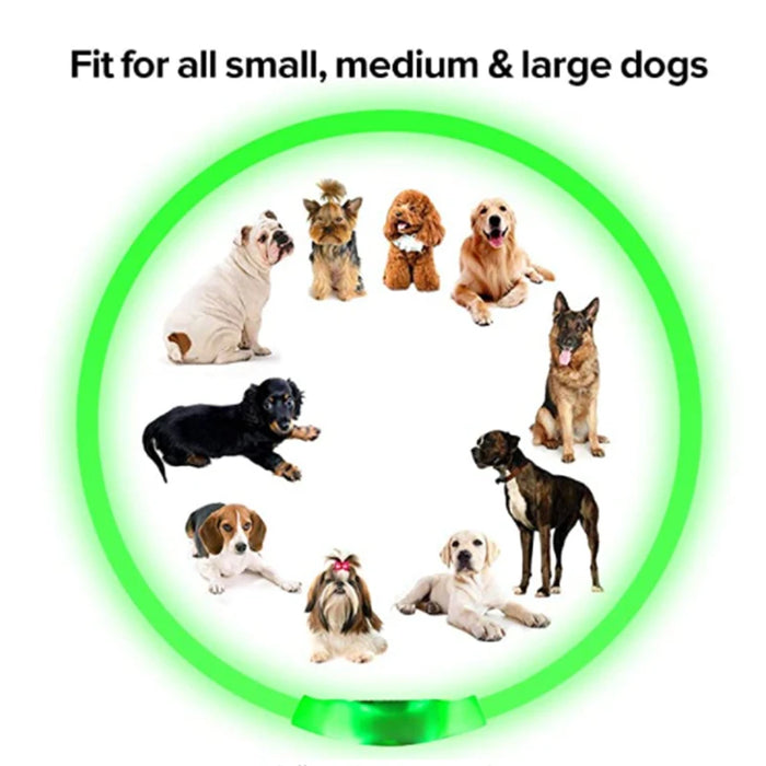 Spoiled Brat™ GlowGuard USB Rechargeable LED Collar