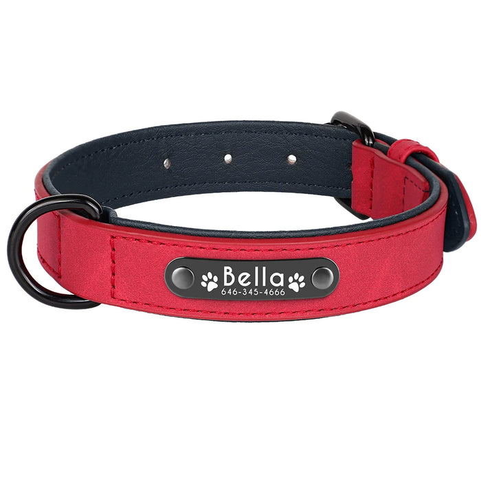 Spoiled Brat™ Personalized Dog Collar – Soft Padded Engraved ID Collar