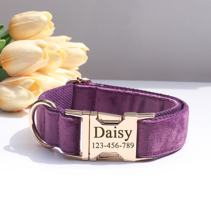 Spoiled Brat™ Personalized Dog Collar – Custom Engraved ID - view 3 | Spoiled Brat