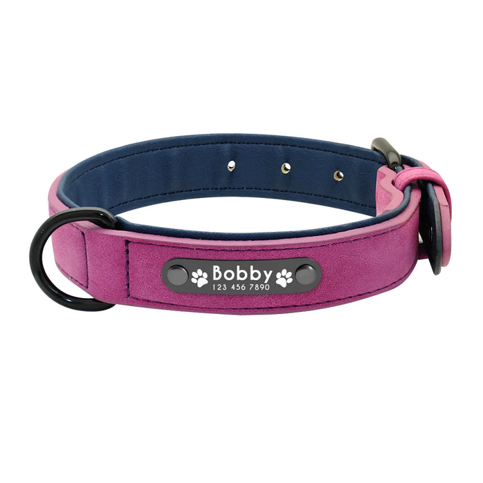 Spoiled Brat™ Personalized Dog Collar – Soft Padded Engraved ID Collar