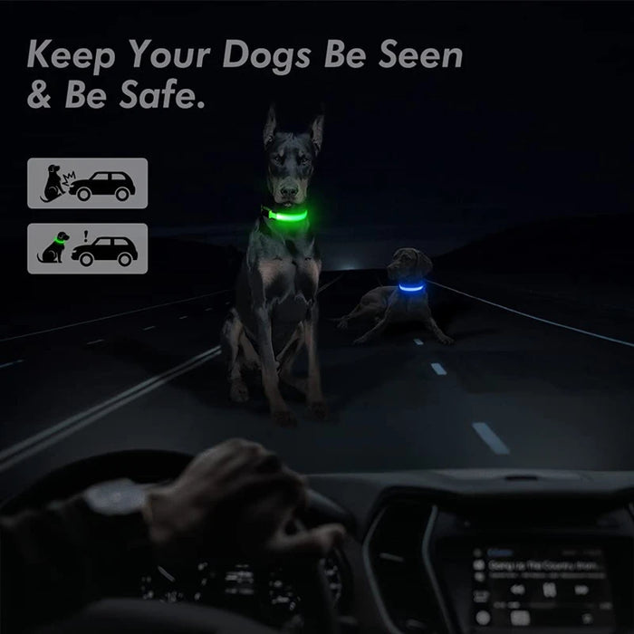 Spoiled Brat™ LunaGlow Luxury LED Safety Collar
