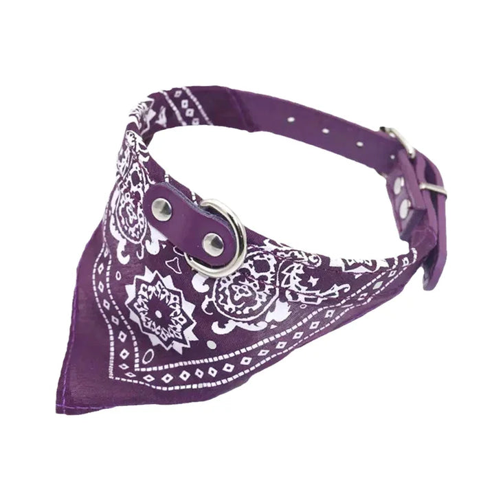 Spoiled Brat™ BellaBand Designer Scarf Collar