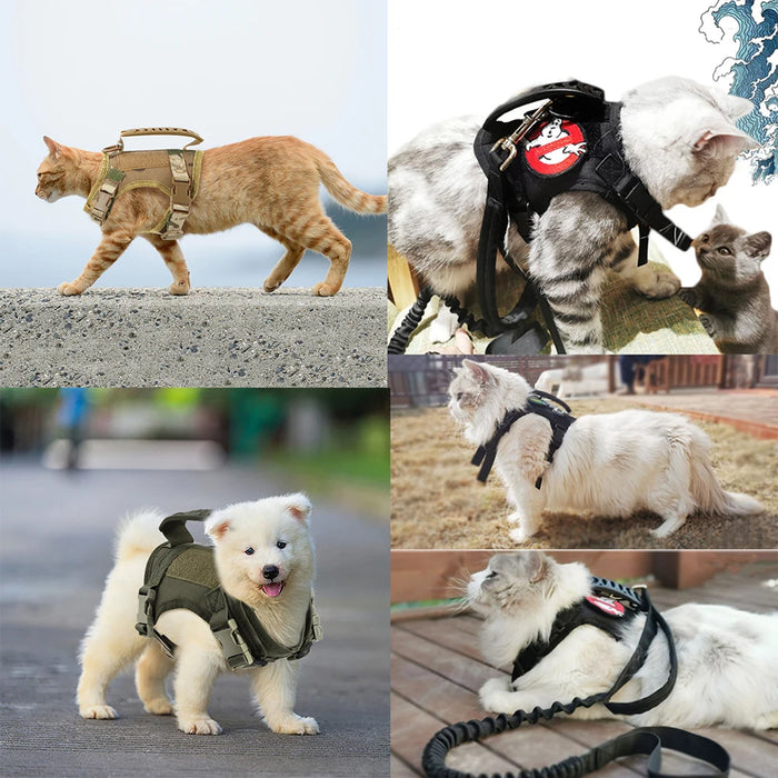 Spoiled Brat™ Tactical Pup Harness Set