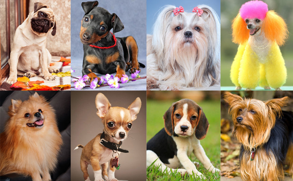 Spoiled Brat™ SmartClick Pro Pet Trainer