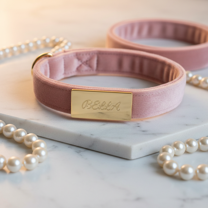 Spoiled Brat VelvetVIP luxury velvet personalized custom name dog collar and leash set