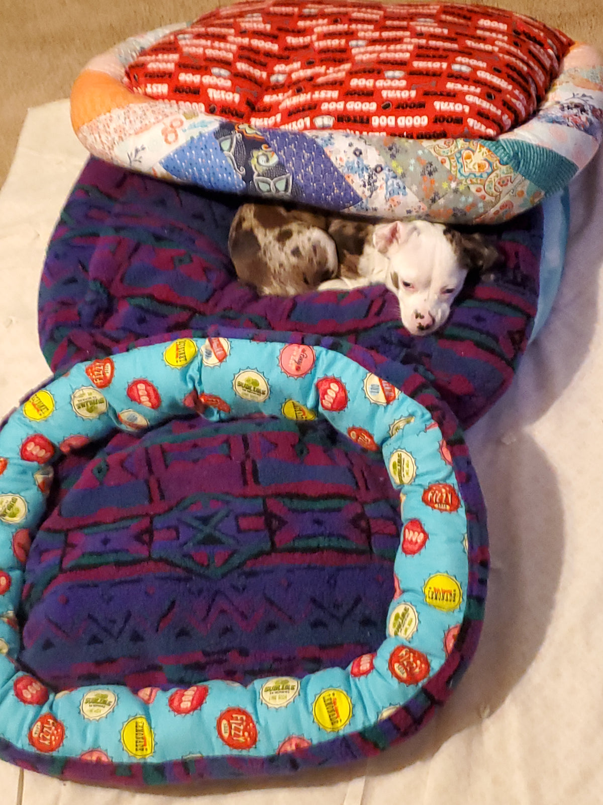 Dog Beds Home Made in Washington State — Spoiled Brat!