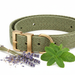 Spoiled Brat™ PetCalm Flea & Tick Prevention Collar – 8 Month - view 4 | Spoiled Brat