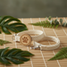 Spoiled Brat BambooTag eco-friendly bamboo fiber personalized dog collar and leash set