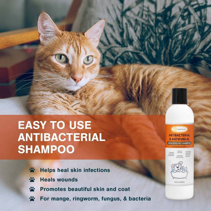 Spoiled Brat™ LimeClear Medicated Lime Sulfur Dog Shampoo - view 2 | Spoiled Brat
