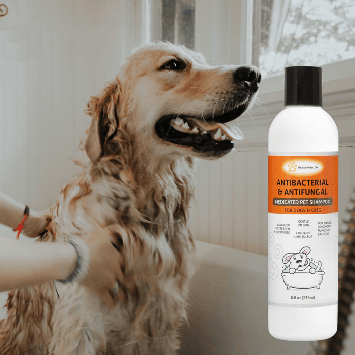 Spoiled Brat™ LimeClear Medicated Lime Sulfur Dog Shampoo | Spoiled Brat