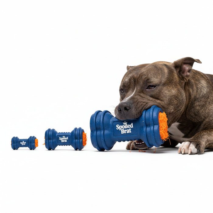 Spoiled Brat™ ChewGuard Indestructible Chew Toy - view 3 | Spoiled Brat