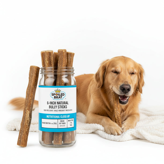 Spoiled Brat™ ChewStrip Bully Sticks – 6" Natural Dog Chews - view 3 | Spoiled Brat