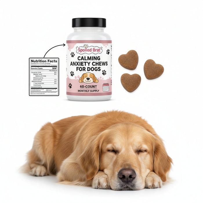 Spoiled Brat™ CalmPup Anxiety Relief Dog Chews – 60ct - view 3 | Spoiled Brat