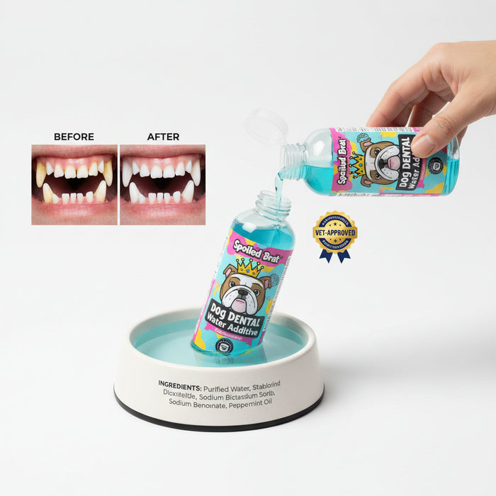 Spoiled Brat™ FreshBreath Dog Dental Water Additive – 8oz - view 3 | Spoiled Brat