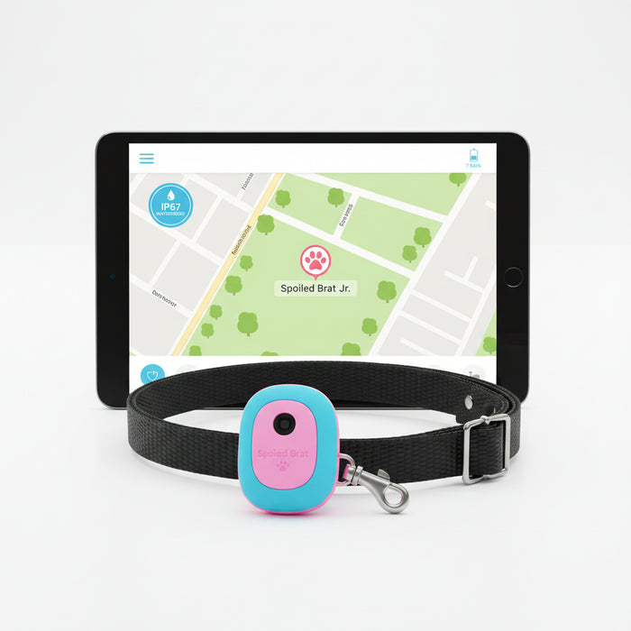 Spoiled Brat™ SafeTag Mini GPS Dog Tracker - view 3 | Spoiled Brat