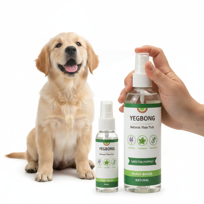 Spoiled Brat™ NaturalShield Plant-Based Flea & Tick Spray - view 4 | Spoiled Brat