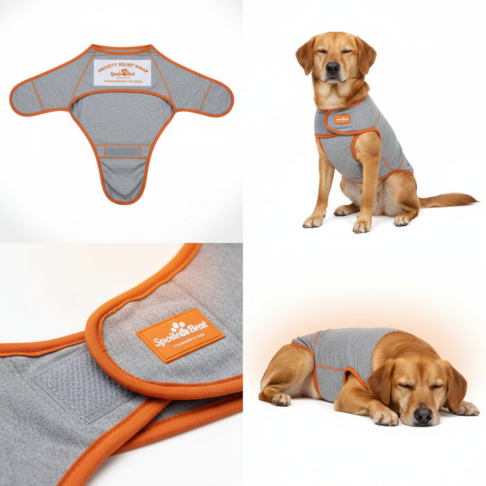 Spoiled Brat™ CalmPaws Anxiety Relief Wrap - view 2 | Spoiled Brat