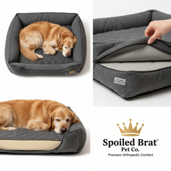 Spoiled Brat™ OrthoRest Memory Foam Dog Bed - view 2 | Spoiled Brat