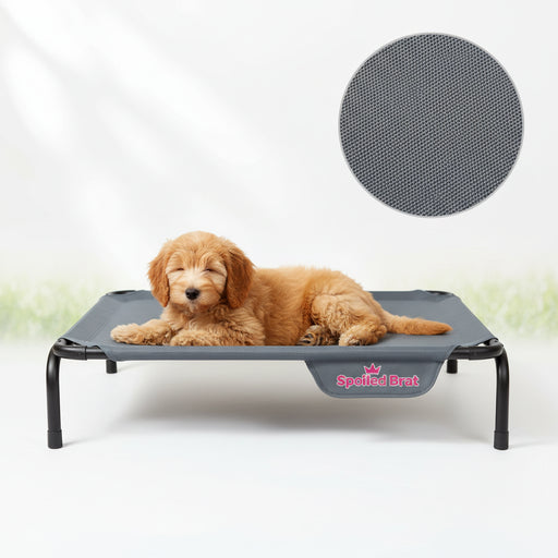 Spoiled Brat™ CoolDown Elevated Outdoor Dog Bed - view 2 | Spoiled Brat
