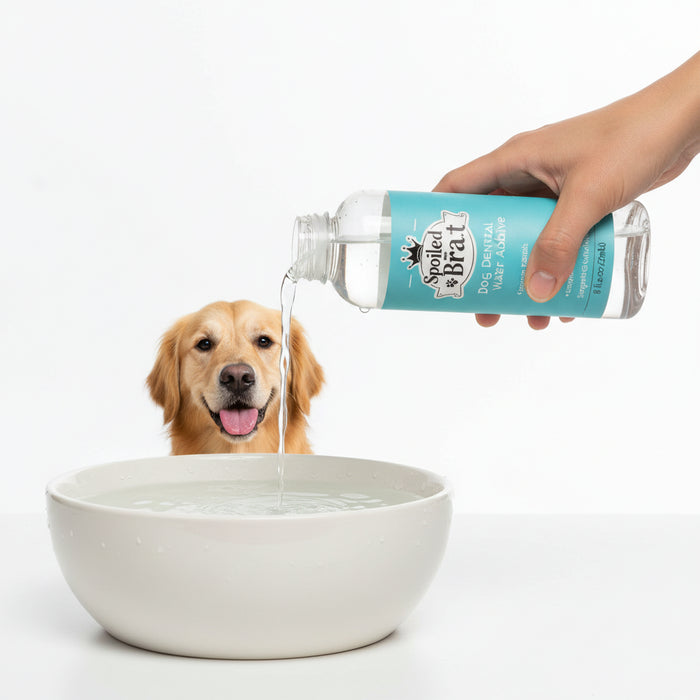 Spoiled Brat™ FreshBreath Dog Dental Water Additive – 8oz - view 2 | Spoiled Brat