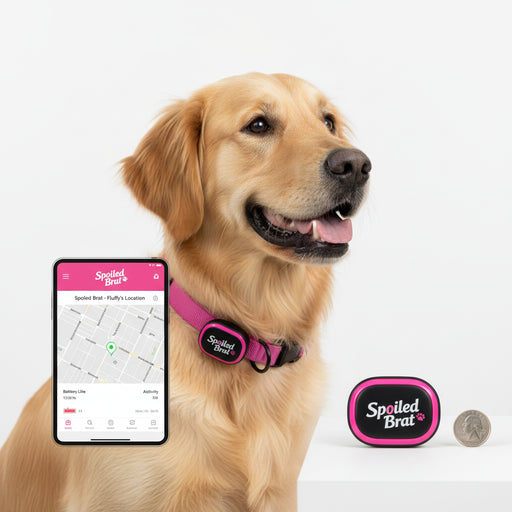Spoiled Brat™ SafeTag Mini GPS Dog Tracker - view 2 | Spoiled Brat