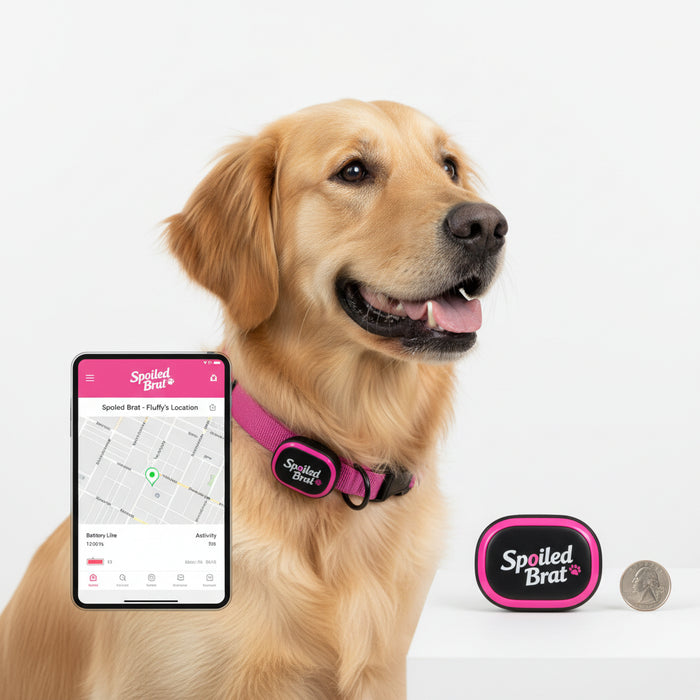 Spoiled Brat™ SafeTag Mini GPS Dog Tracker - view 2 | Spoiled Brat