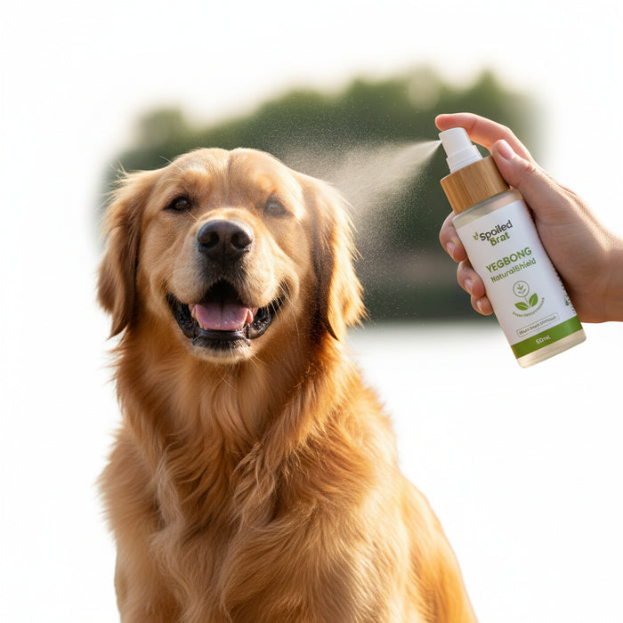 Spoiled Brat™ NaturalShield Plant-Based Flea & Tick Spray - view 3 | Spoiled Brat