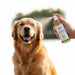 Spoiled Brat™ NaturalShield Plant-Based Flea & Tick Spray - view 3 | Spoiled Brat