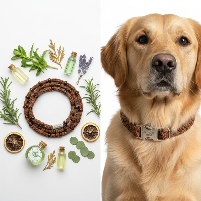 Spoiled Brat™ NaturalGuard Flea & Tick Collar – Essential Oil - view 2 | Spoiled Brat