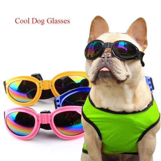 Spoiled Brat™ PawSpinner Dog Lover Keychain Set – 5 Pack | Spoiled Brat