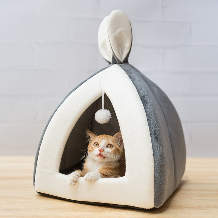 Cat home