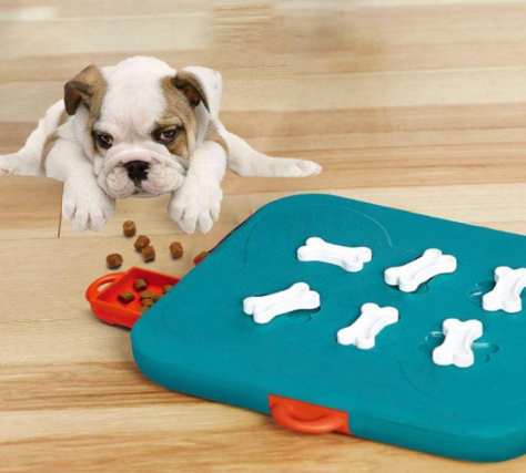 Pet toys casino treasure hunt puzzle food spill toy